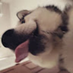 Meet your Posher, Gabhriell